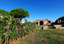 Grande successo per la decima edizione di Terme in Fiore